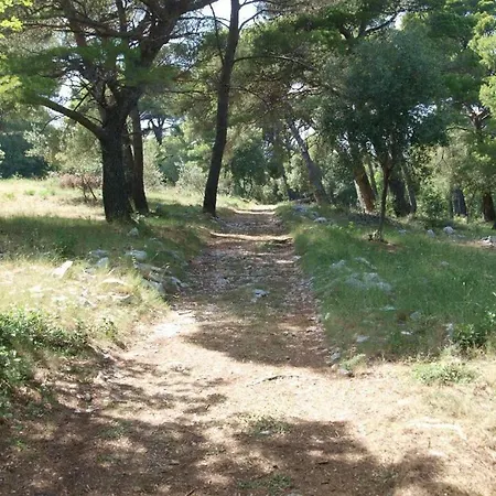 Διαμέρισμα Isidora